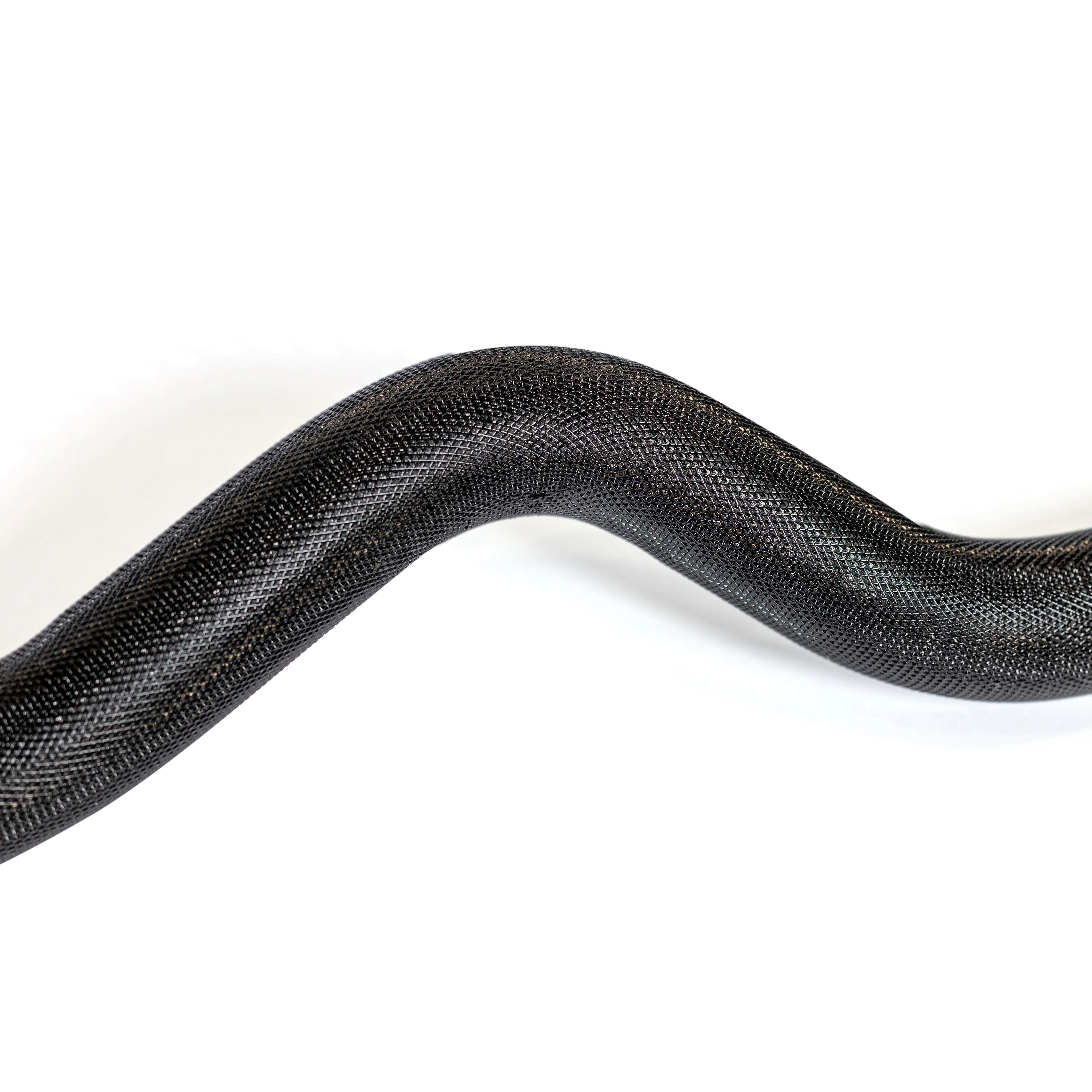 EZ Curl Bar (54.5") - Image 3